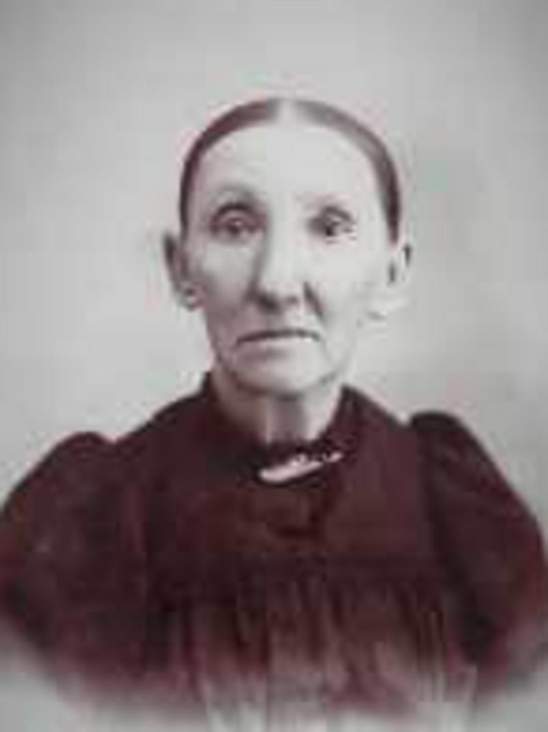 Hannah Braithwaite (1839 - 1912) Profile